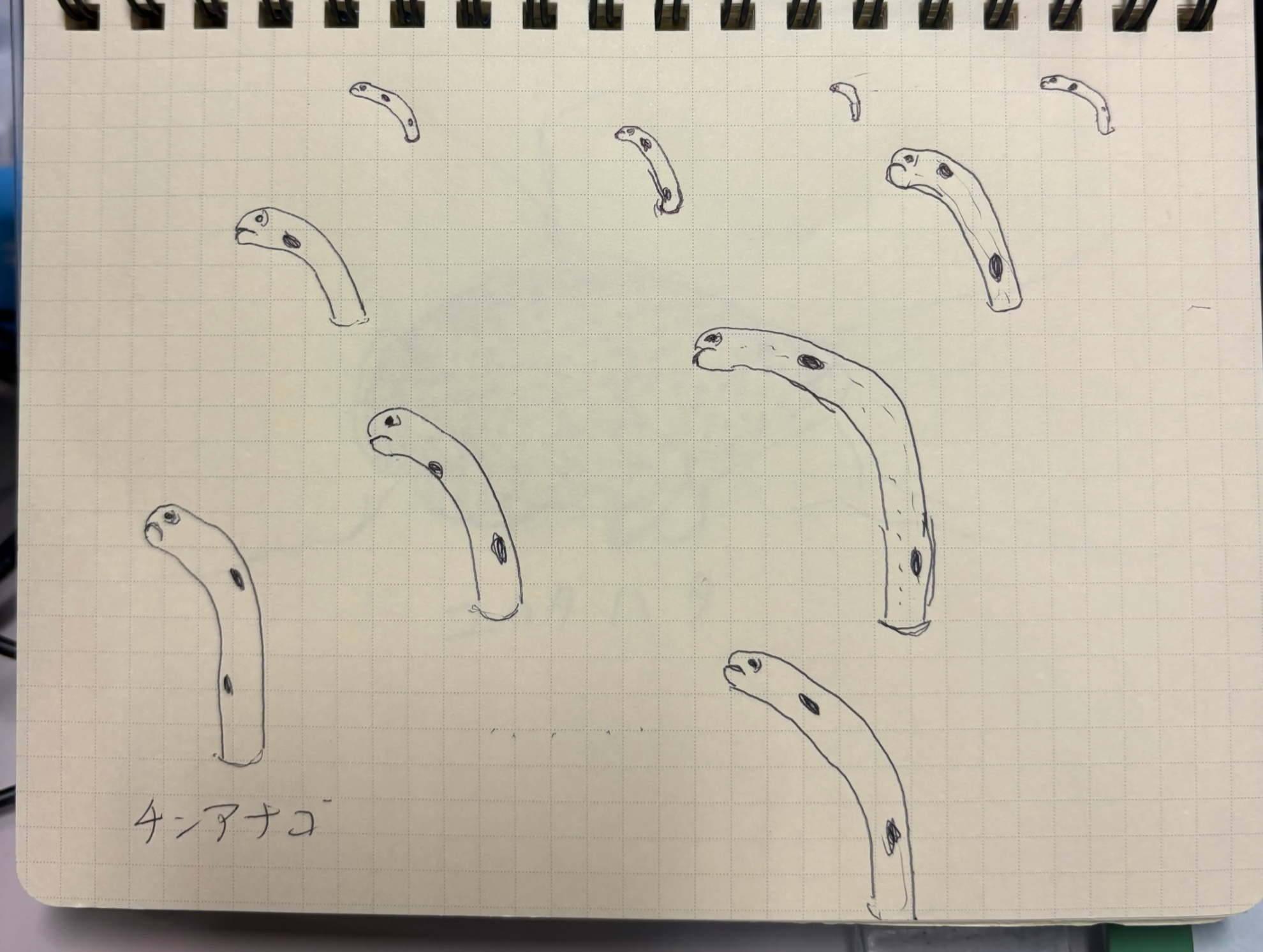 イラストが雑なのはわかってる