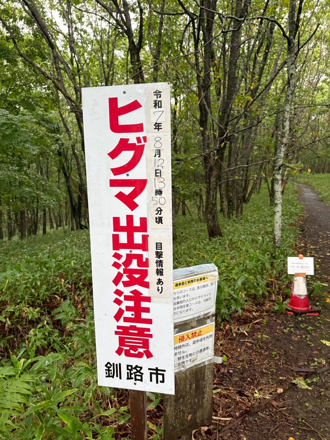怖すぎ